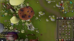 Birdhouse Trapping
