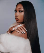 Meghan Thee Stallion Net Worth