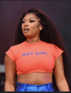 Megan’s Thee Stallion Physical Information
