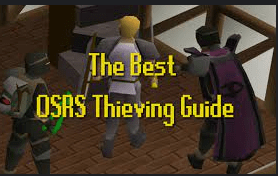 Thieving training