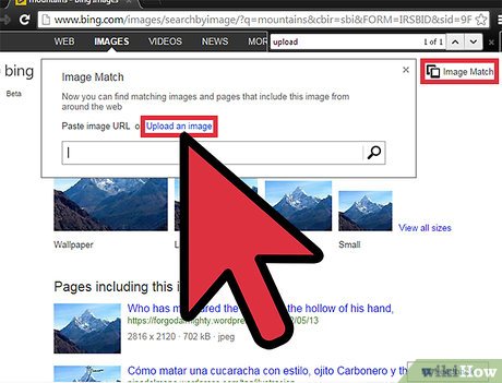 Bing Reverse Image Search: