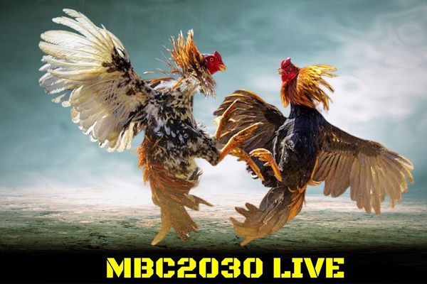 Dashboard For MBC2030: