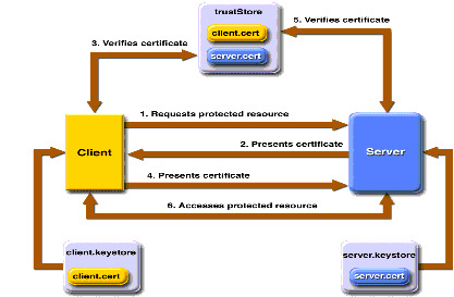 Mechanisms Of Login: