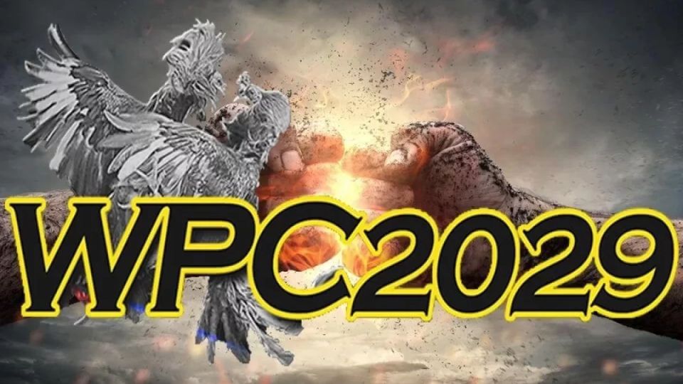 What is WPC 2029?