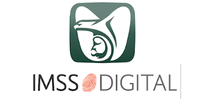 What Data Does the IMSS Digital Card Include